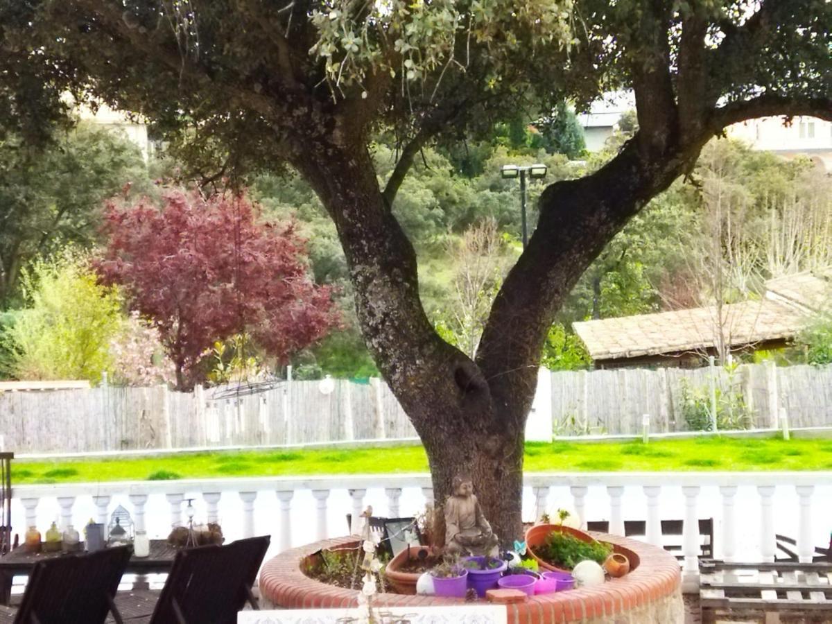 Lovely Home Nearby Madrid To Enjoy Nature Villaviciosa de Odon Luaran gambar